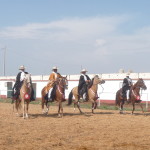 F5 - May 2, 2015 - Caballos De Paso (04)