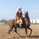 F5 - May 2, 2015 - Caballos De Paso (14)