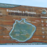 A10 - Isla Floreana Day Trip - June 04, 2015 (3)