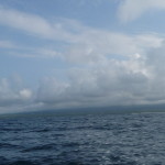 A4 - Isla Isabela - May 30, 2015 (00)