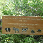 A4 - Isla Isabela - May 30, 2015 (80)