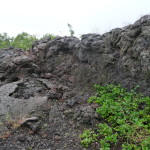 A6 - Volcan Sierra Negra, Isla Isabela - Jun 01, 2015 (13)