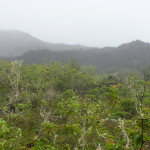 A6 - Volcan Sierra Negra, Isla Isabela - Jun 01, 2015 (15)