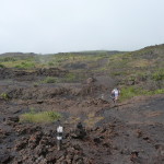 A6 - Volcan Sierra Negra, Isla Isabela - Jun 01, 2015 (21)