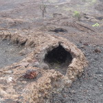 A6 - Volcan Sierra Negra, Isla Isabela - Jun 01, 2015 (27)