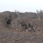 A6 - Volcan Sierra Negra, Isla Isabela - Jun 01, 2015 (30)