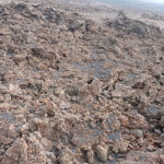 A6 - Volcan Sierra Negra, Isla Isabela - Jun 01, 2015 (31)