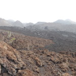 A6 - Volcan Sierra Negra, Isla Isabela - Jun 01, 2015 (35)