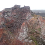 A6 - Volcan Sierra Negra, Isla Isabela - Jun 01, 2015 (51)