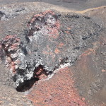 A6 - Volcan Sierra Negra, Isla Isabela - Jun 01, 2015 (59)