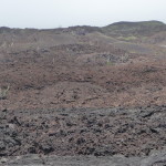 A6 - Volcan Sierra Negra, Isla Isabela - Jun 01, 2015 (62)