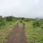 A6 - Volcan Sierra Negra, Isla Isabela - Jun 01, 2015 (76)