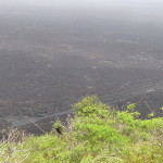 A6 - Volcan Sierra Negra, Isla Isabela - Jun 01, 2015 (77)