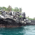 A8 - Bay Tour, Isla Santa Cruz - June 03, 2015 (04)