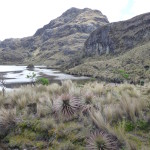 B3 - Cajas National Park - June 14, 2015 (108)