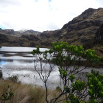 B3 - Cajas National Park - June 14, 2015 (109)