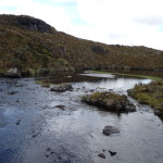 B3 - Cajas National Park - June 14, 2015 (113)