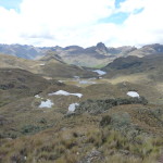 B3 - Cajas National Park - June 14, 2015 (118)