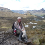 B3 - Cajas National Park - June 14, 2015 (120)