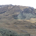 B3 - Cajas National Park - June 14, 2015 (121)