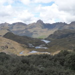 B3 - Cajas National Park - June 14, 2015 (122)