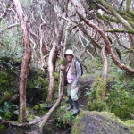 B3 - Cajas National Park - June 14, 2015 (132)