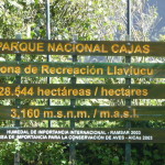 B3 - Cajas National Park - June 14, 2015 (14)