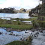 B3 - Cajas National Park - June 14, 2015 (140)