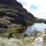 B3 - Cajas National Park - June 14, 2015 (141)