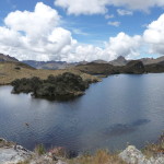 B3 - Cajas National Park - June 14, 2015 (143)