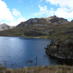 B3 - Cajas National Park - June 14, 2015 (145)