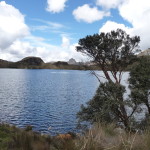 B3 - Cajas National Park - June 14, 2015 (148)