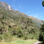 B3 - Cajas National Park - June 14, 2015 (18)