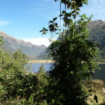 B3 - Cajas National Park - June 14, 2015 (19)