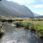 B3 - Cajas National Park - June 14, 2015 (27)