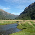 B3 - Cajas National Park - June 14, 2015 (28)