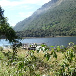 B3 - Cajas National Park - June 14, 2015 (35)