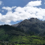 B3 - Cajas National Park - June 14, 2015 (68)