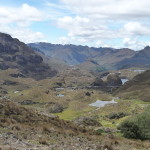 B3 - Cajas National Park - June 14, 2015 (83)