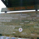 B3 - Cajas National Park - June 14, 2015 (89)