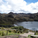 B3 - Cajas National Park - June 14, 2015 (93)