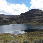 B3 - Cajas National Park - June 14, 2015 (95)