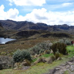 B3 - Cajas National Park - June 14, 2015 (97)