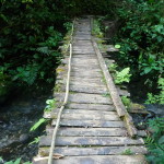 B2 - Banos Jungle Day Trip - June 27, 2015 (107)