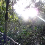 B2 - Banos Jungle Day Trip - June 27, 2015 (110)