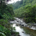 B2 - Banos Jungle Day Trip - June 27, 2015 (111)