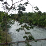 B2 - Banos Jungle Day Trip - June 27, 2015 (53)