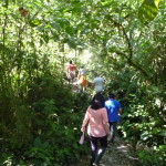 B2 - Banos Jungle Day Trip - June 27, 2015 (92)