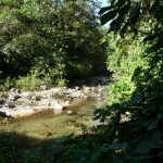 B2 - Banos Jungle Day Trip - June 27, 2015 (94)