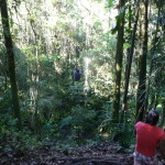 B2 - Banos Jungle Day Trip - June 27, 2015 (98)